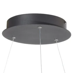 Paul Neuhaus Q-VITO colgante LED 59cm antracita