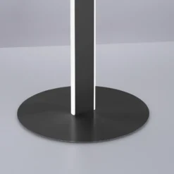 Paul Neuhaus Q-VITO lámpara de pie LED, antracita