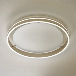 Paul Neuhaus Q-VITO plafón LED 59cm acero
