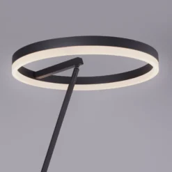 Paul Neuhaus Titus lámpara de pie LED antracita