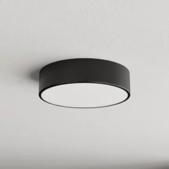 Plafón Cleo, Ø 30 cm, IP20, negro, metal, E27
