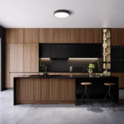 Plafón Cleo, Ø 50 cm, IP20, negro, metal, E27