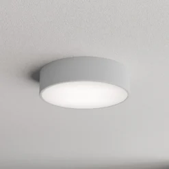 Plafón Cleo 300, IP54, Ø 30 cm gris