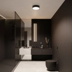 Plafón Cleo 300, IP54, Ø 30 cm negro