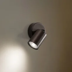 Plafón downlight Top, regulable, marrón, 1 luz