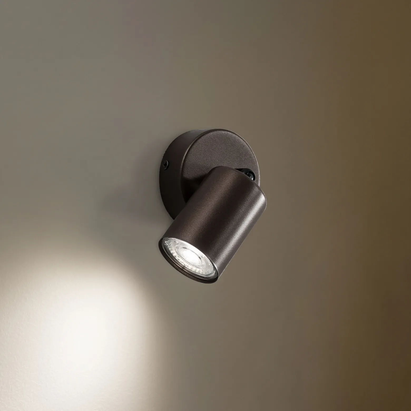 Plafón downlight Top, regulable, marrón, 1 luz