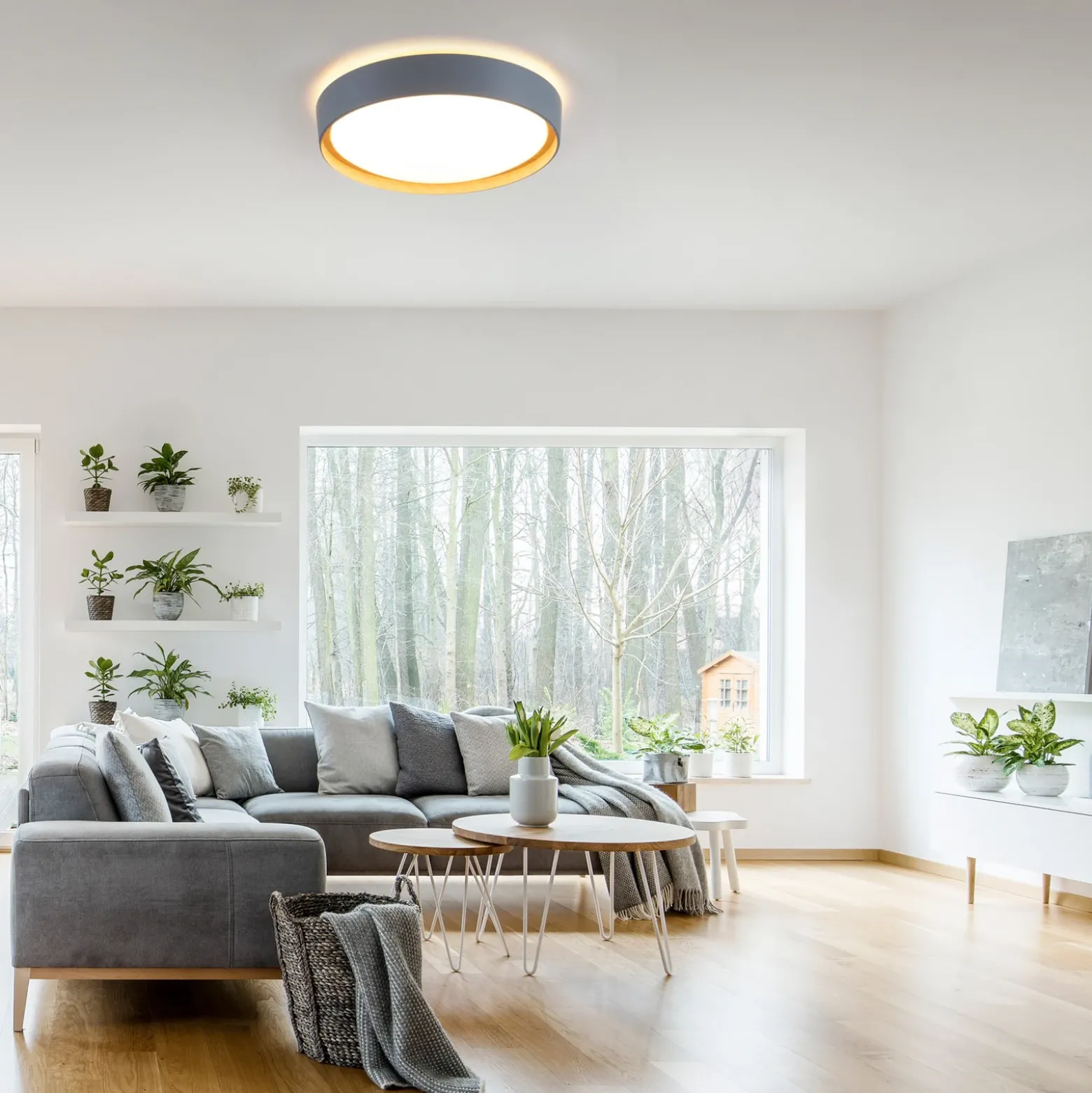 Plafón LED Emilia, atenuable en tres niveles, gris