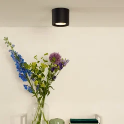 Plafón LED Fedler dim to warm, negro