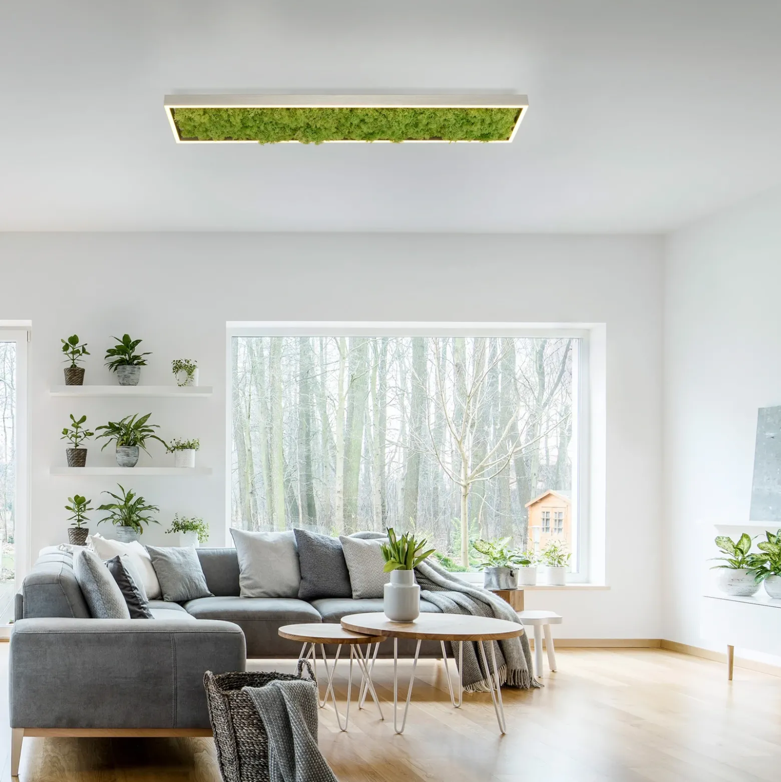 Plafón LED «Gerda Knut» con musgo natural