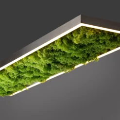 Plafón LED «Gerda Knut» con musgo natural