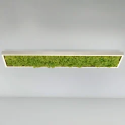 Plafón LED «Gerda Knut» con musgo natural