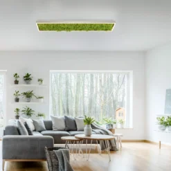 Plafón LED «Gerda Knut» con musgo natural