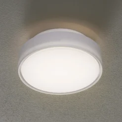 Plafón LED Hatton IP65, 25 cm