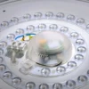 Plafón LED Lavinia con sensor 38,5cm