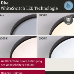 Plafón LED Paulmann Oka IP44 CCT negro