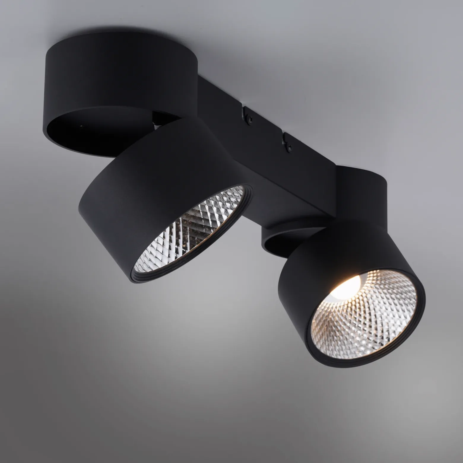 Plafón LED PURE Nola, con 2 luces, negro