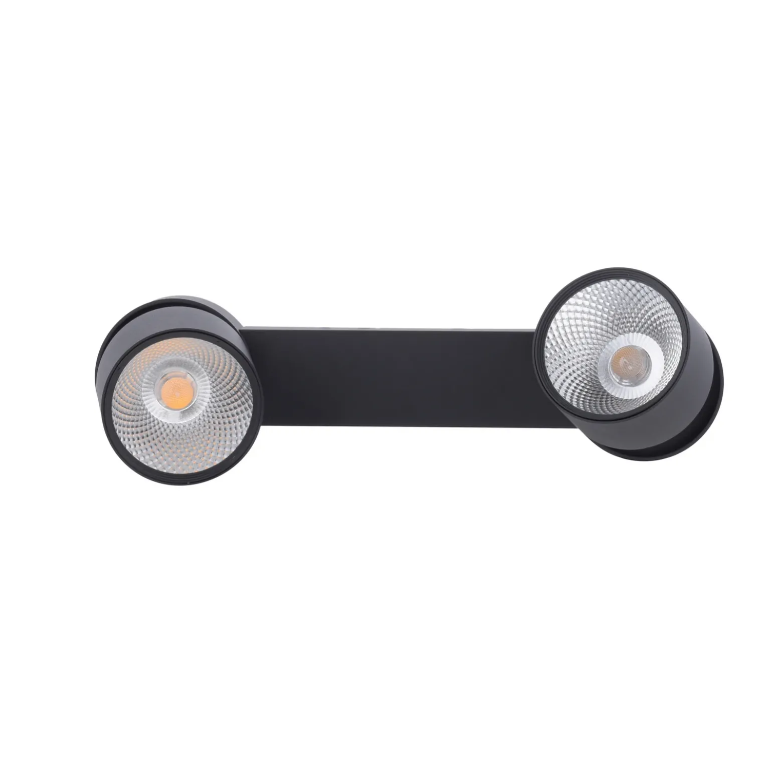 Plafón LED PURE Nola, con 2 luces, negro