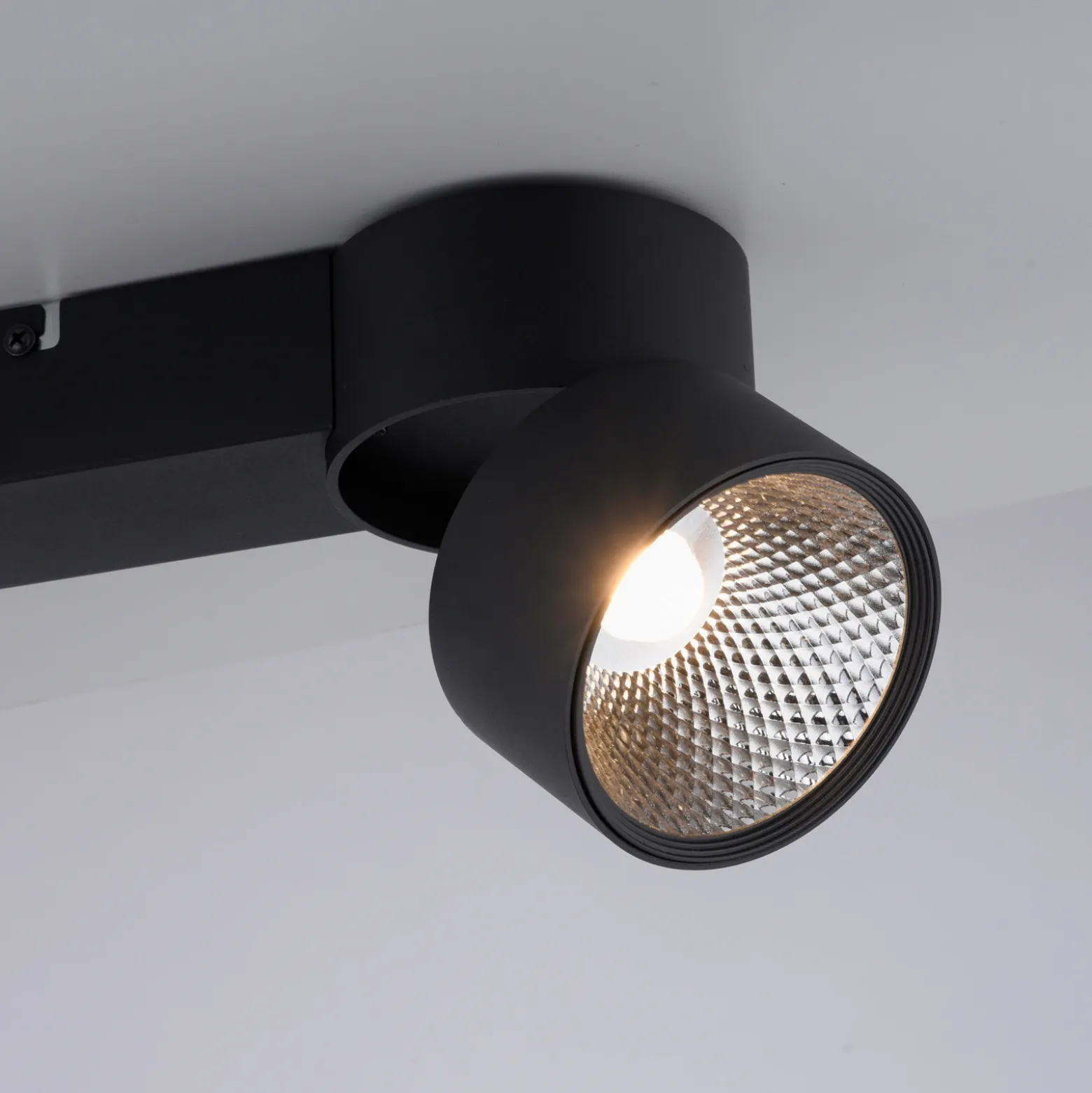 Plafón LED PURE Nola, con 2 luces, negro