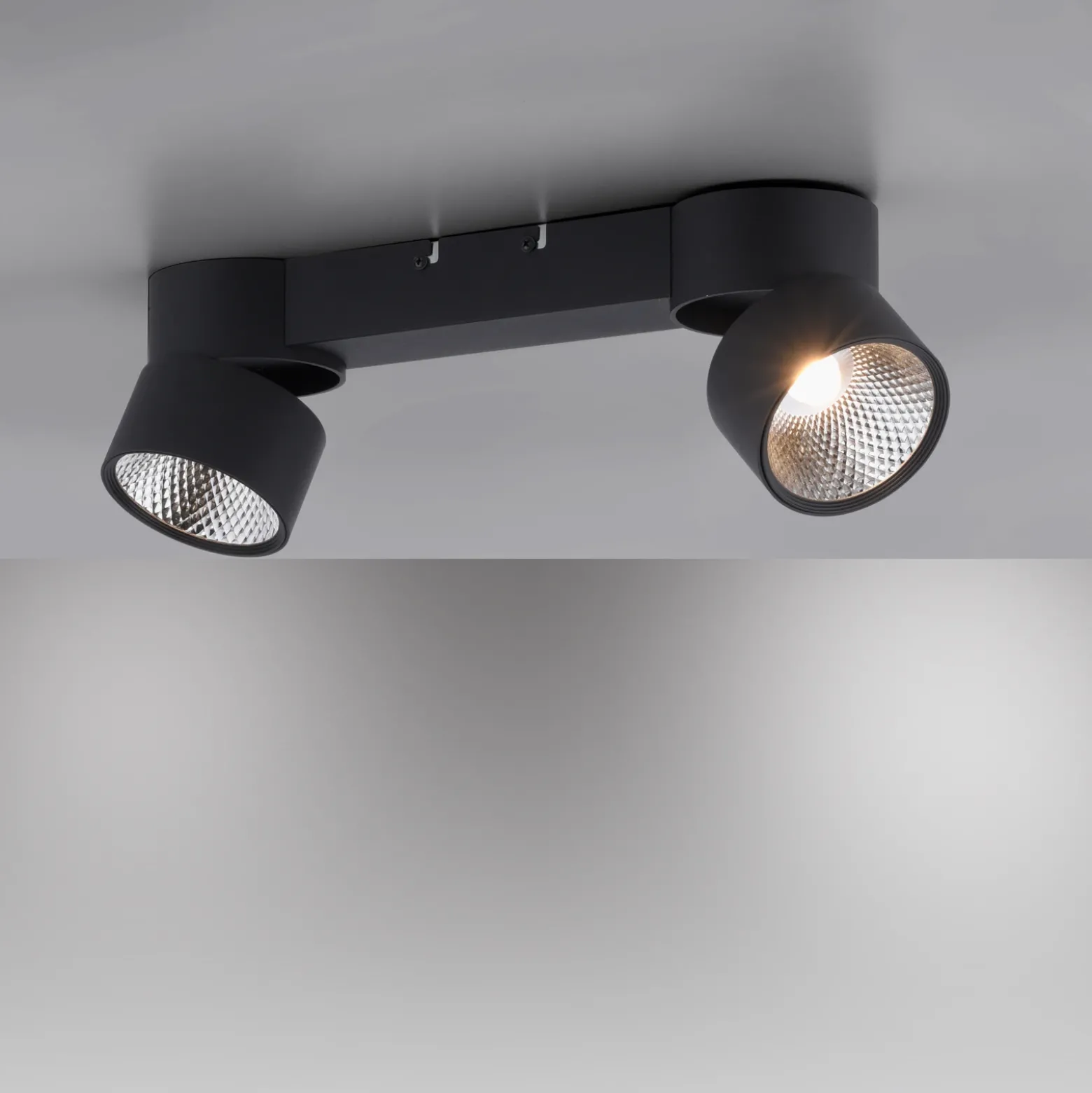 Plafón LED PURE Nola, con 2 luces, negro