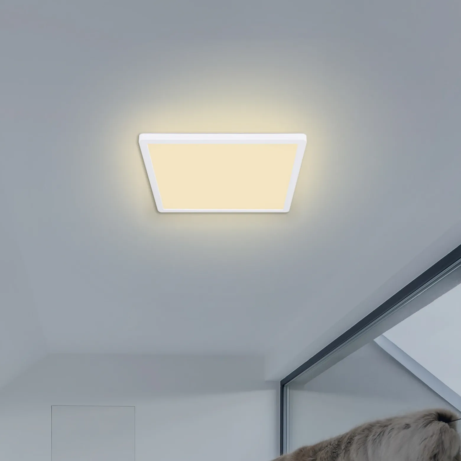 Plafón LED Sapana, angular, atenuable, blanco
