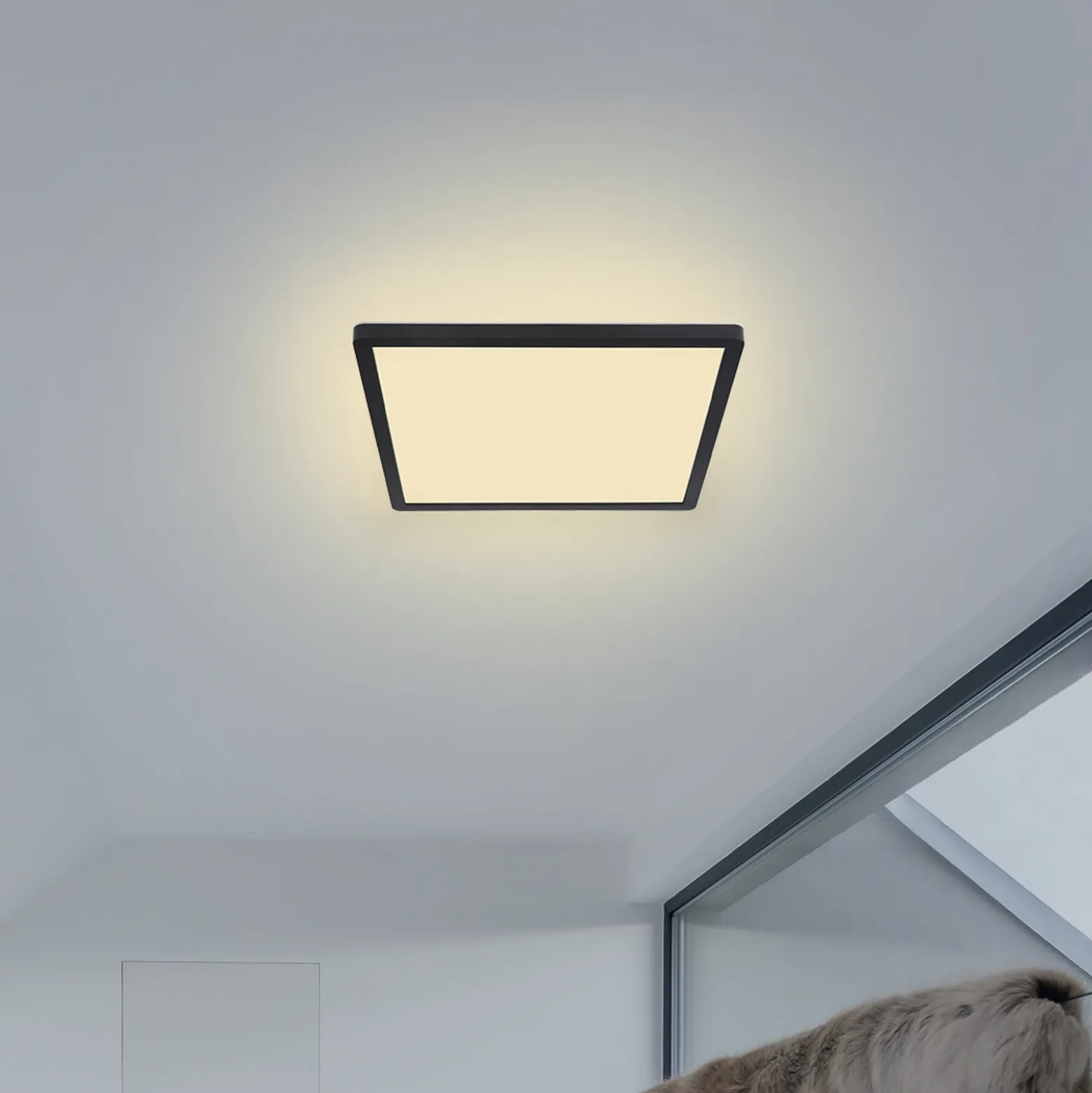 Plafón LED Sapana, angular, atenuable, negro