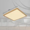Plafón LED Sapana, longitud 29,5 cm latón