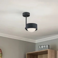 Plafón Mado de acero, negro, 1 luz