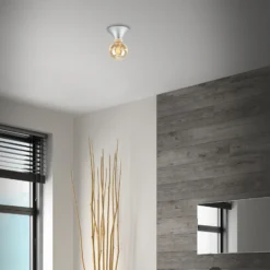 Plafón Tepel para baño IP44 E27 cromado mate
