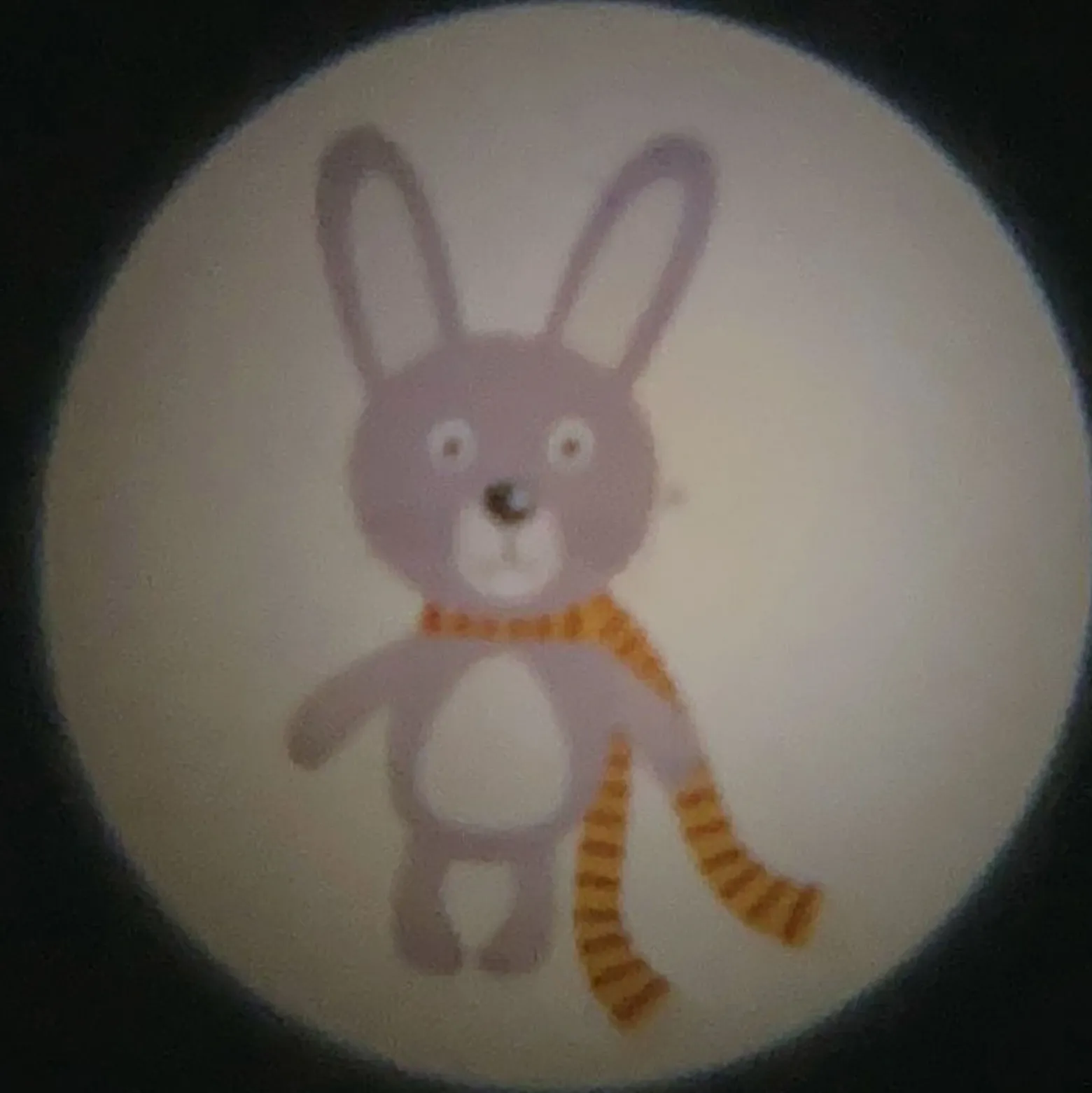 Proyector de bolsillo Animales, funciona 6 pilas