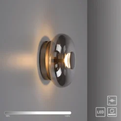SCHÖNER WOHNEN Lámpara LED de techo Posh, cristal ahumado, 3000 K