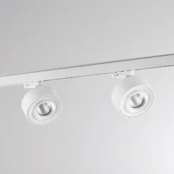 Sistema de riel trifásico LED Molto Luce Mag, blanco, 830