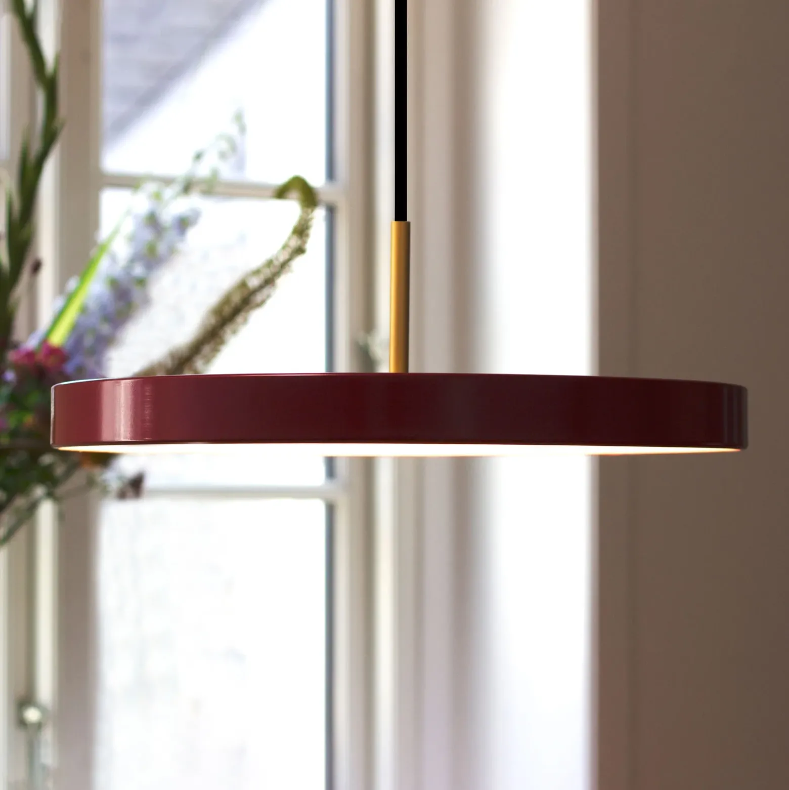 UMAGE Asteria medium colgante LED latón rojo