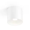 WEVER & DUCRÉ Ray PAR16 lámpara de techo blanco
